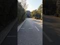 #china #chinanews #evening #eveningwalk #nature #tree #road #infrastructure#health#healthylifestyle