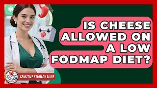 Is Cheese Allowed On A Low FODMAP Diet? - Sensitive Stomach Guide
