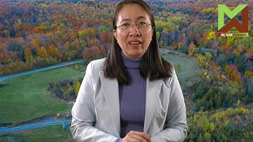 21.12.Thầy pháp Thích Nhật Từ gọi, Mẹ Nấm - Nguyễn Ngọc Như Quỳnh trả lời