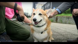 Click 857 : Japan 2016