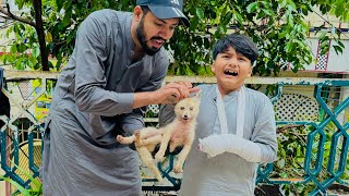 Khatarnak fox 🦊 ny Ali pr Attack kr deya 🥺 || Ali ka hath zakhmi ho gaya 😳 ||