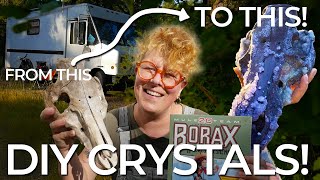 Vanlife Forest to Art - DIY Crystals with Borax Bones