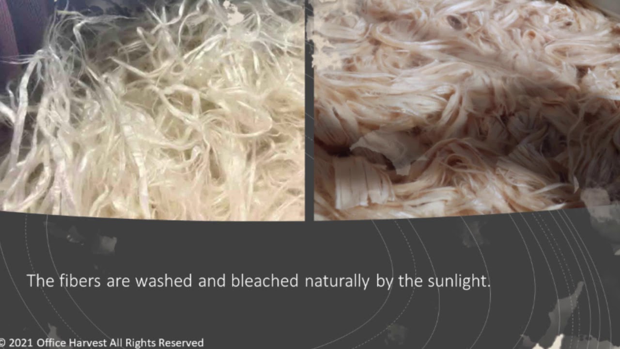 Ogawa Washi: 1300 years of Artisanal Heritage