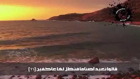 اجمل ما سمعتهُ في حياتي😴❤️تلاوه خاشعة ماشاء الله تبارك الله