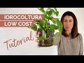 IDROCOLTURA: 2 Tutorial FAI DA TE da non perdere!