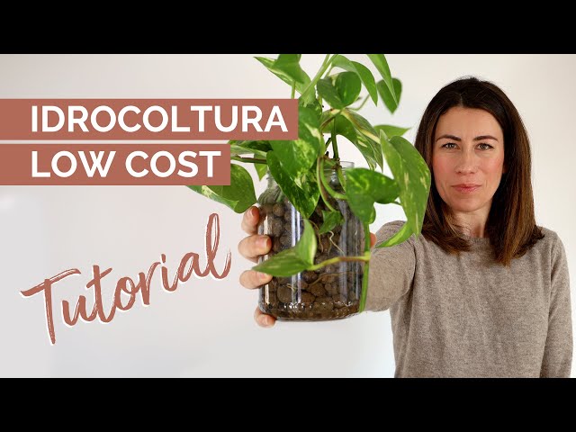 IDROCOLTURA: 2 Tutorial FAI DA TE da non perdere! 