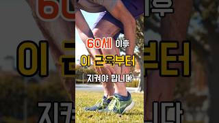 60세이후 이 근육부터 지켜야 합니다. #60대건강#근육건강#속근육#중년건강#건강픽스