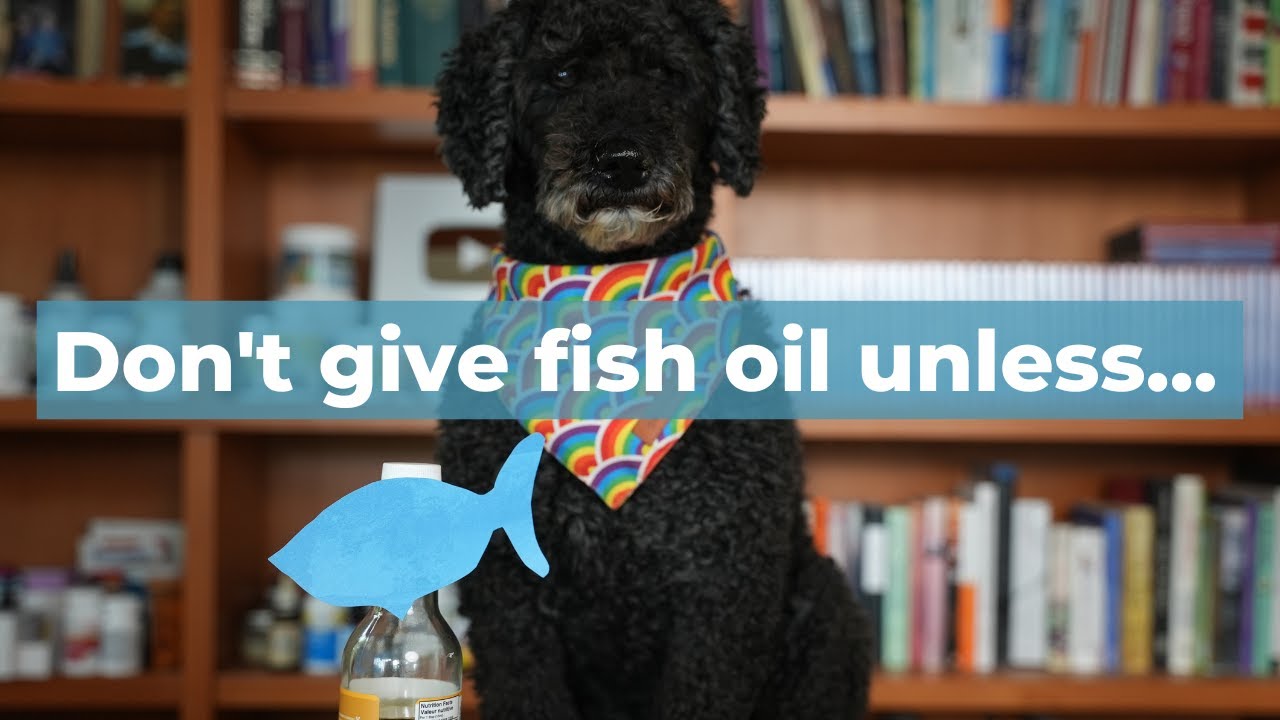 Don't give your Pets Fish Oil UNLESS you are doing these 5 Things