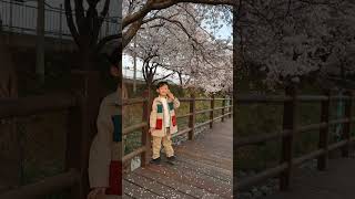 2023040203 벚꽃놀이