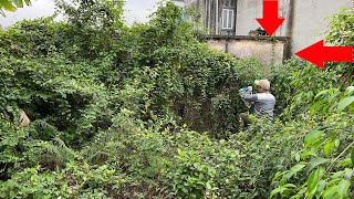 Terrified when cleaning an abandoned house for 30 years | Cut down trees to help a 70 year old man