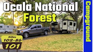 Salt Springs Recreation Area Campground Tour, Ocala National Forest 4K