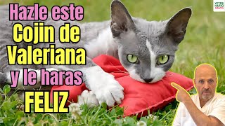 💝 HOW TO MAKE A VALERIAN PILLOW FOR CATS AND MAKE THEM HAPPIER? 💝 screenshot 4