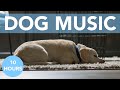 DOG SONGS! Music to Help Your Dog Sleep, Reduce Anxiety & Create Calm!