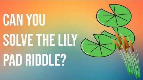 Can You Solve the Lily Pad Riddle?