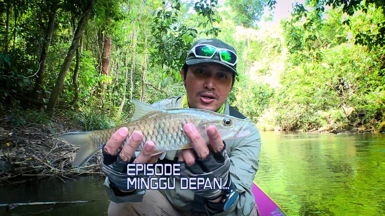Mancing Mania Ikan Muara Sungai Asin Di Kalimantan Timur Youtube