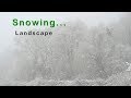 Snowing,  Relaxating Piano Music. Country Landscape .