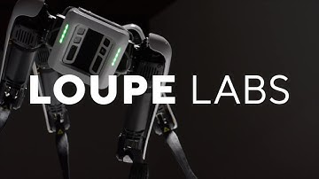 Labs: Log Entry #1 - Introducing Loupe Labs