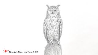 HOW TO DRAW A REALISTIC OWL EASILY - Timelapse