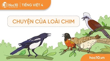 Chuyện của loài chim - Tiếng Việt 4 | Hoc10
