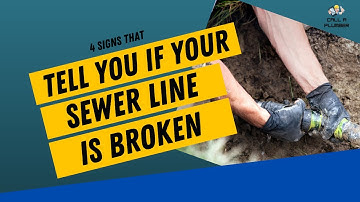 4 Signs That Tells You If Your Sewer Line Is Broken | CALL A PLUMBER