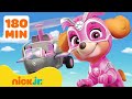 Patrulha Canina As Melhores Aventuras E Resgates Da Skye Da Patrulha Canina Nick Jr 