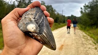 I Found a GIANT Megalodon Shark Tooth on a Tiny Florida Dirt Road | Florida Fossil Hunting