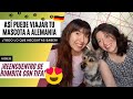 ✈️🐾Como traer a tu mascota a Europa #Alemania I Requisitos+ proceso de viaje /Anmeldung+impuestos 🍀👣