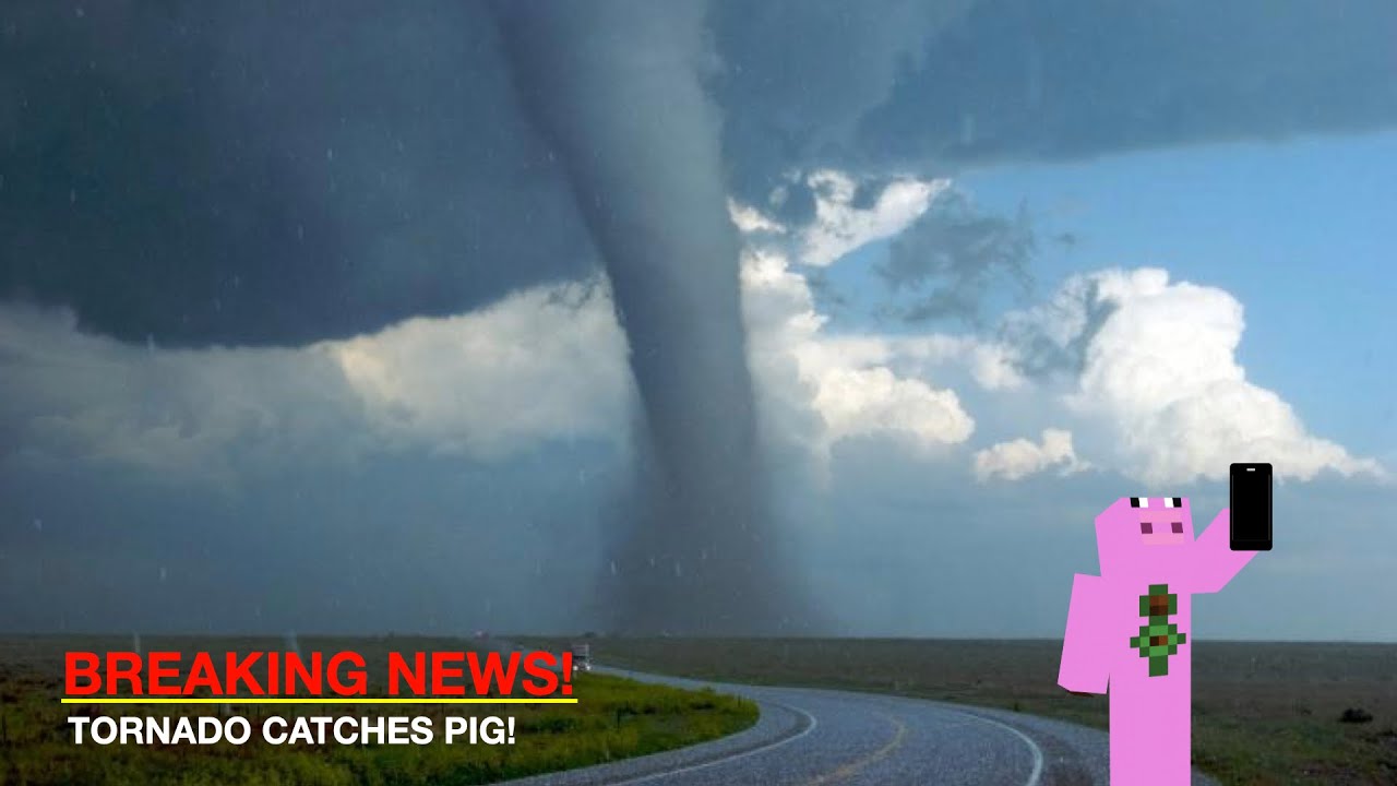 Tornado catches pig! - YouTube