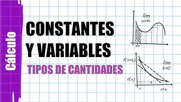 Constantes y Variables