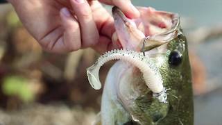 Fishing Bait Club Paddletail Swimbaits