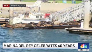 Marina del Rey turns 60 years old