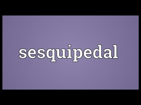 Video: Sesquipedal tərifi nə deməkdir?