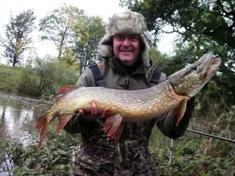 River Tees Pike Fishing 19_10_2019 (Flood Conditions) - YouTube