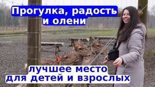 Не упустила шанс бюджетно познакомиться с дикой природой | Как провести выходные в Латвии