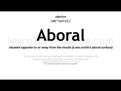 Video: Was bedeutet aboral?