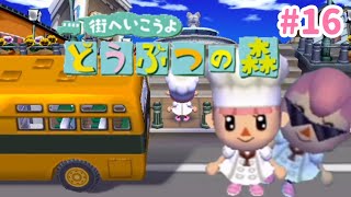 【枠立て直し】新入り住民さん来たる！？街へいこうよどうぶつの森#16【街へいこうよどうぶつの森】