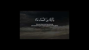 سورة لقمان ( ٨ ــ ١١ ) #القرآن_الكريم #quran #ماهر_المعيقلي #استغفرالله