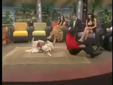 Собака танцует с хозяином!!!Я в шоке!!!