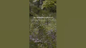 القرآن الكريم - محمود خليل الحصري #اكسبلور #المصحف #قرآن #quran ارح قلبك