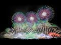 HY 366日 赤川花火大会 エンディング 希望の光  Akagawa Fireworks Festival Japan