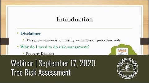 Tree Risk Assessment with Joel Koci