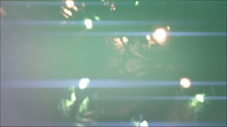 Light Leaks Element 250