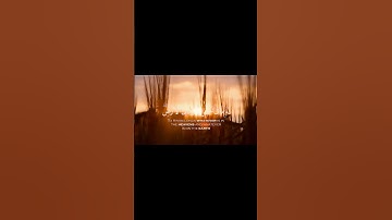 ياسر الدوسري سورة البقره (255)