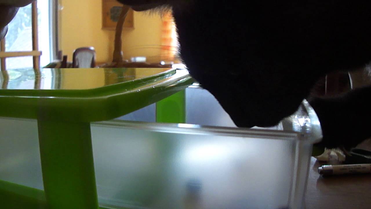 Berlioz Lade grün 1