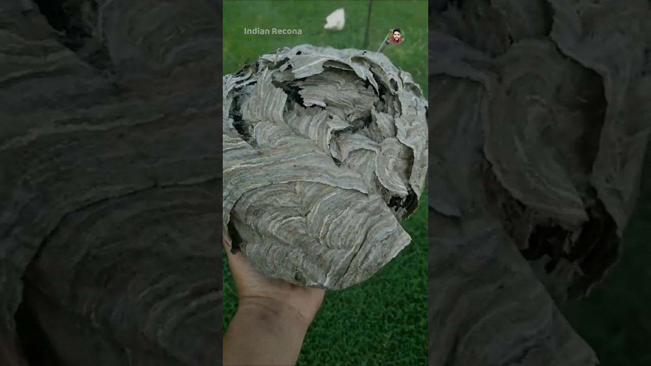 1st Paper Ki Khoj Chi Lun 