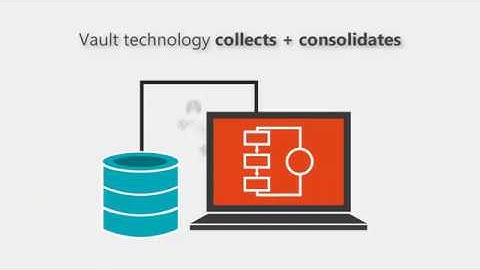 The Aceyus Vault: A Centralized Data Repository