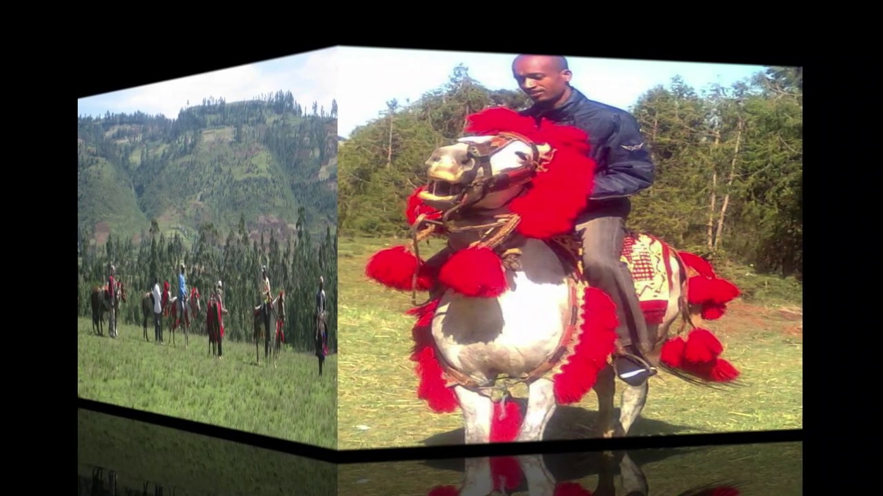 welene(እወይ ብሮ የወለንኛ ሙዚቃ)