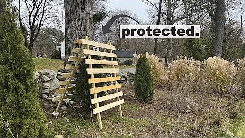 Schützen Sie Ihre Pflanzen im Winter mit selbstgebauten Pflanzenschützern