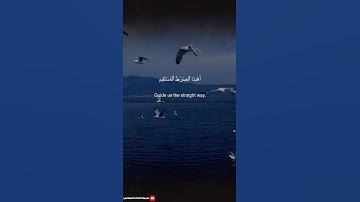 ✨ سورة الفاتحة بصوت خاشع يلامس القلب | تلاوة عذبة للشيخ أبو بكر الشاطري