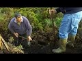 Peat cutting and Turf cutting in Ireland